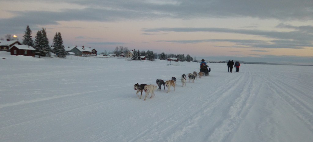 Dog sledge on the lake. Picture by Isabell Krisch, FZJ.