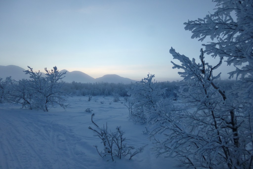Winter Landscape in Abisko. Picture by Isabell Krisch, FZJ.